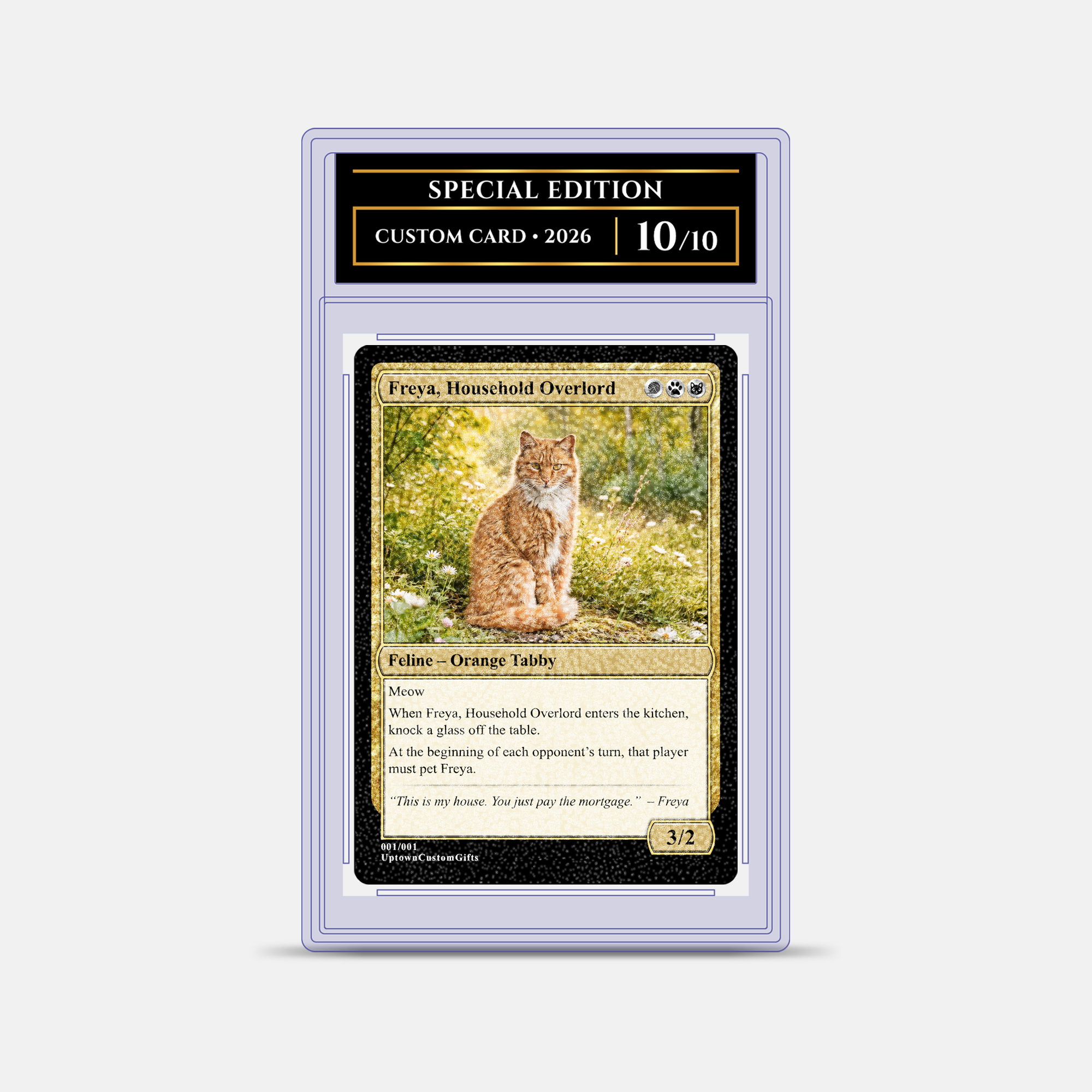 Custom Fantasy Trading Card