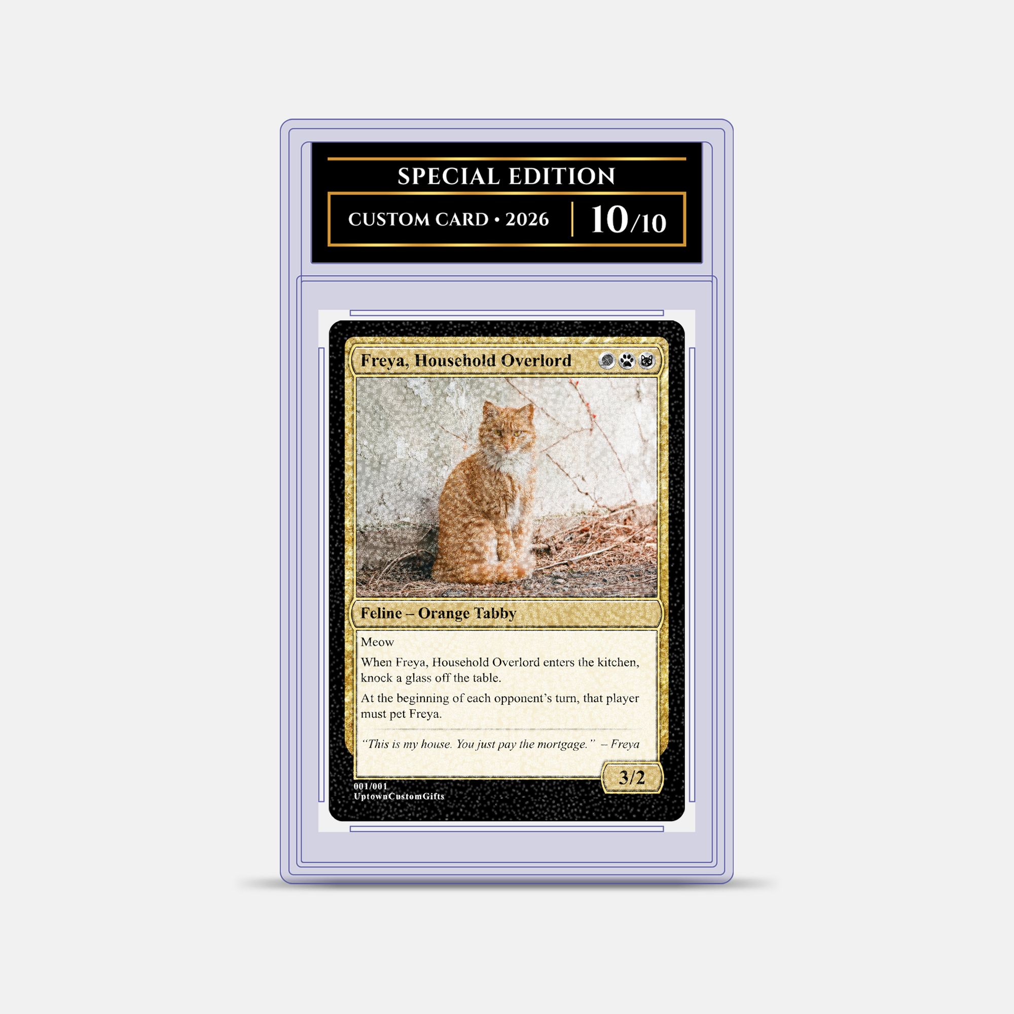 Custom Fantasy Trading Card