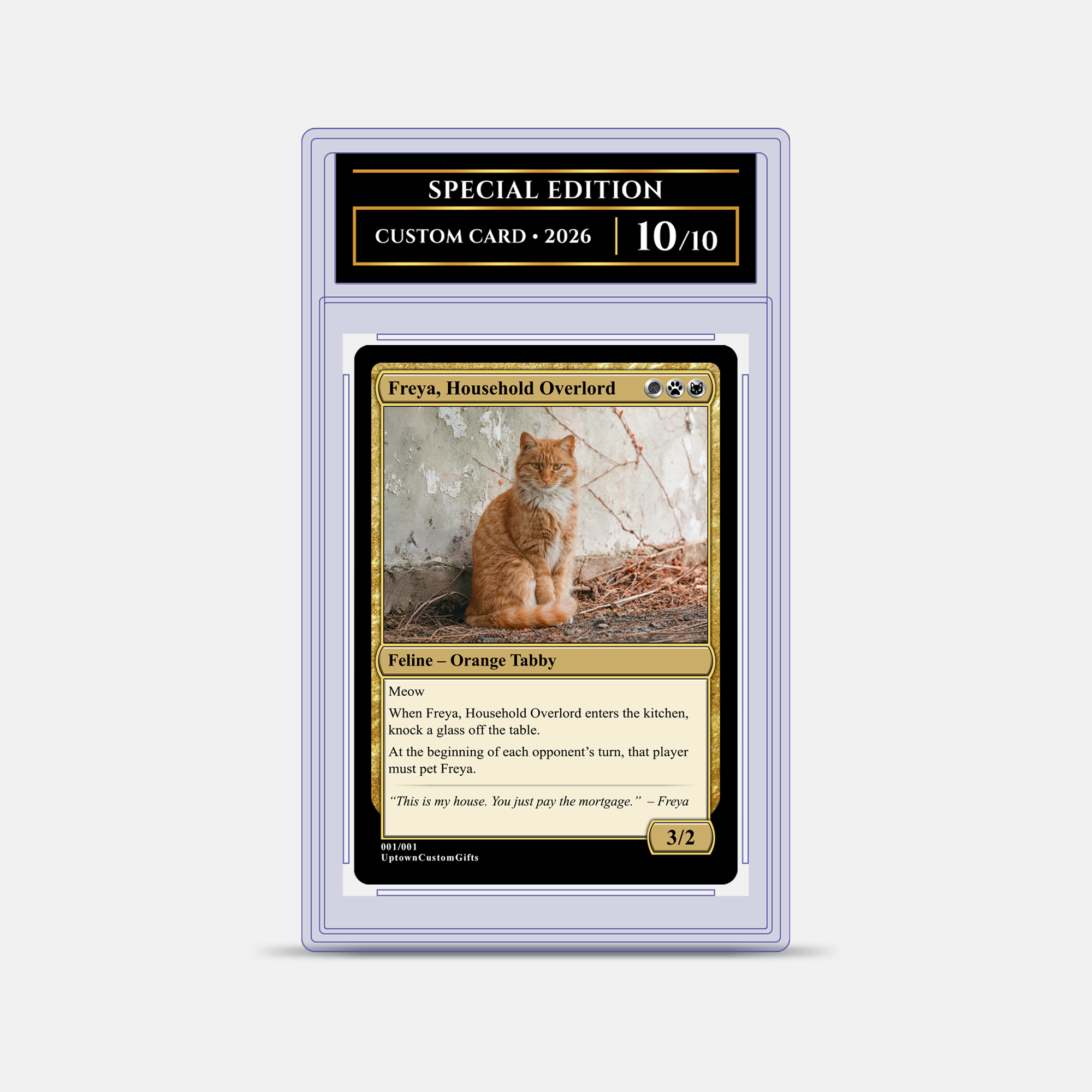 Custom Fantasy Trading Card