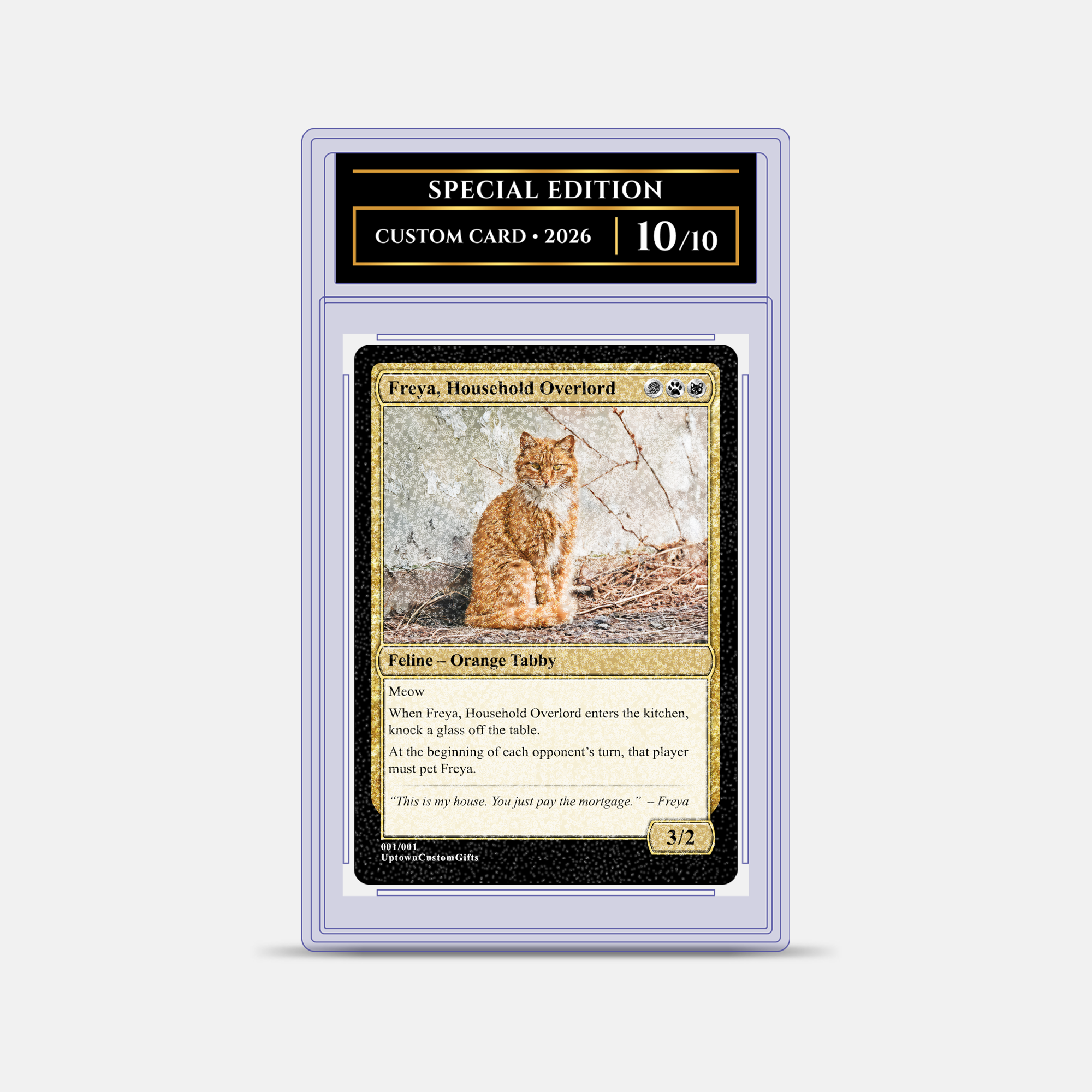 Custom Fantasy Trading Card